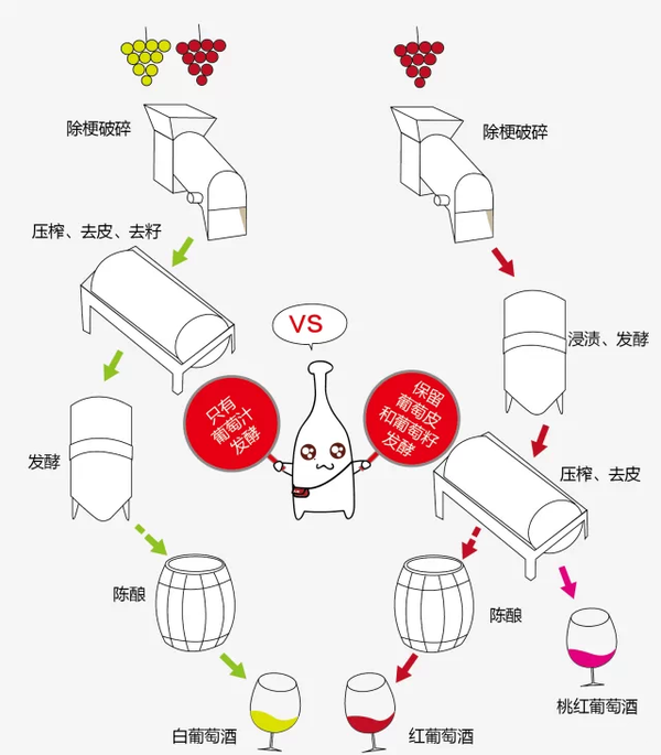 葡萄酒的酿造过程